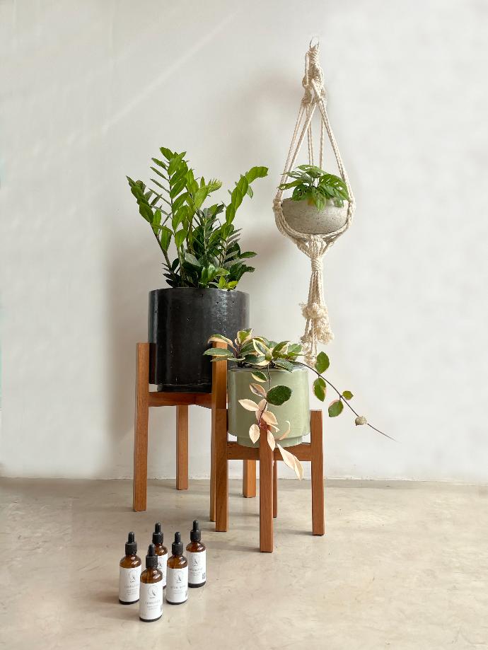 accesorios para tus plantas