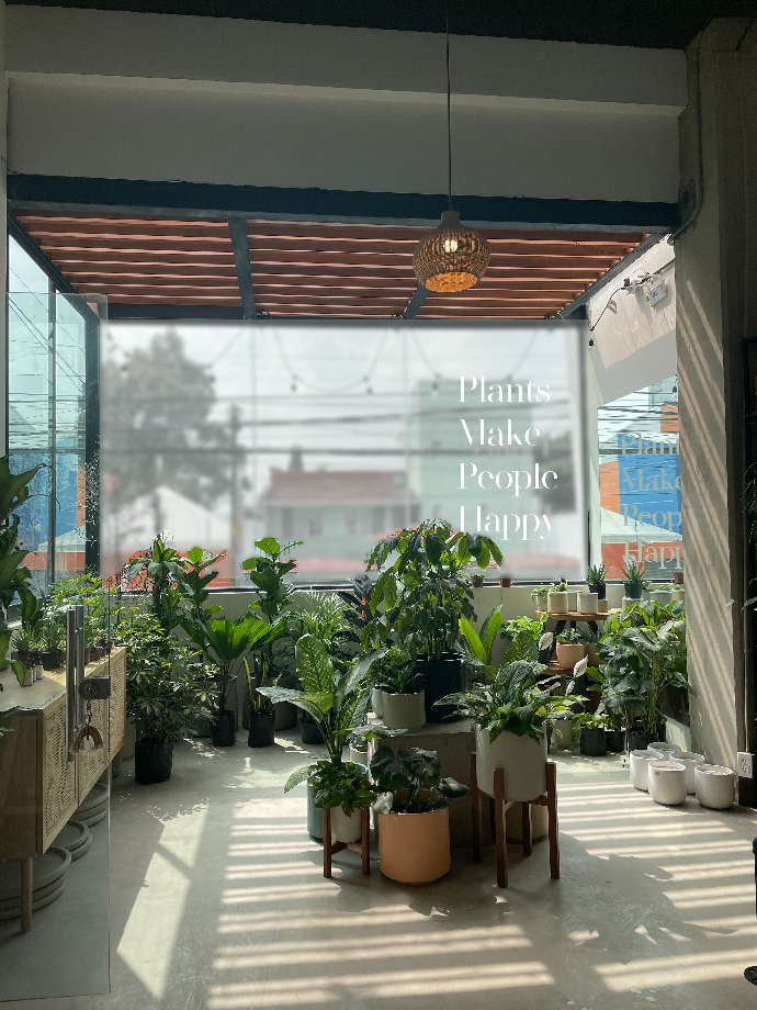 Decora tus espacios con plantas