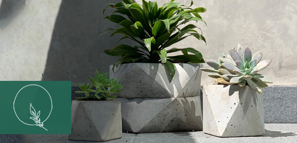 Tipos de macetas para plantas