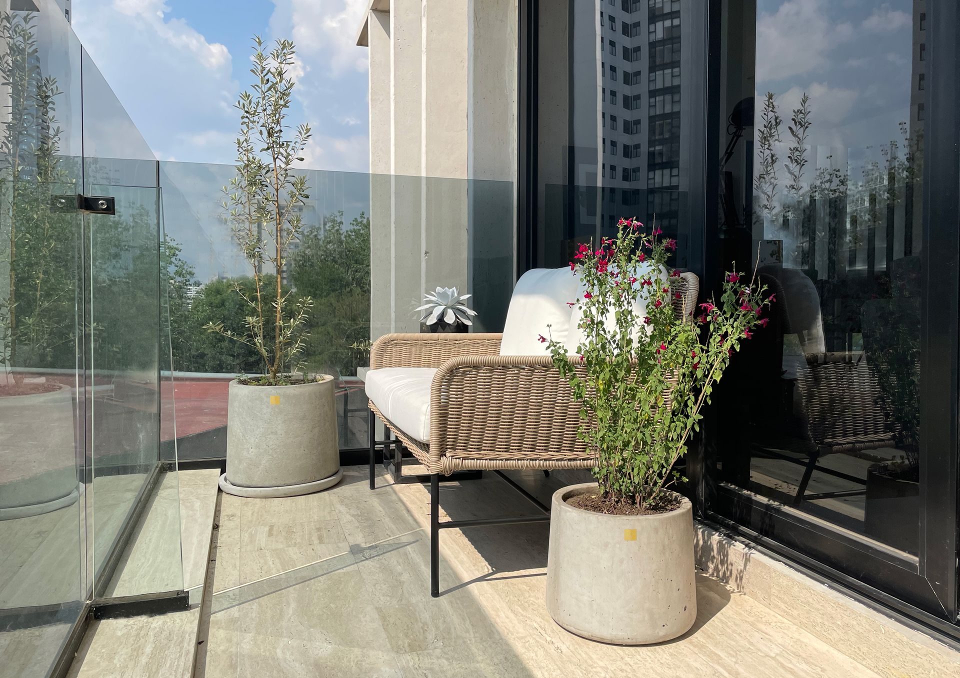 Plantas y macetas a domicilio Ciudad de México