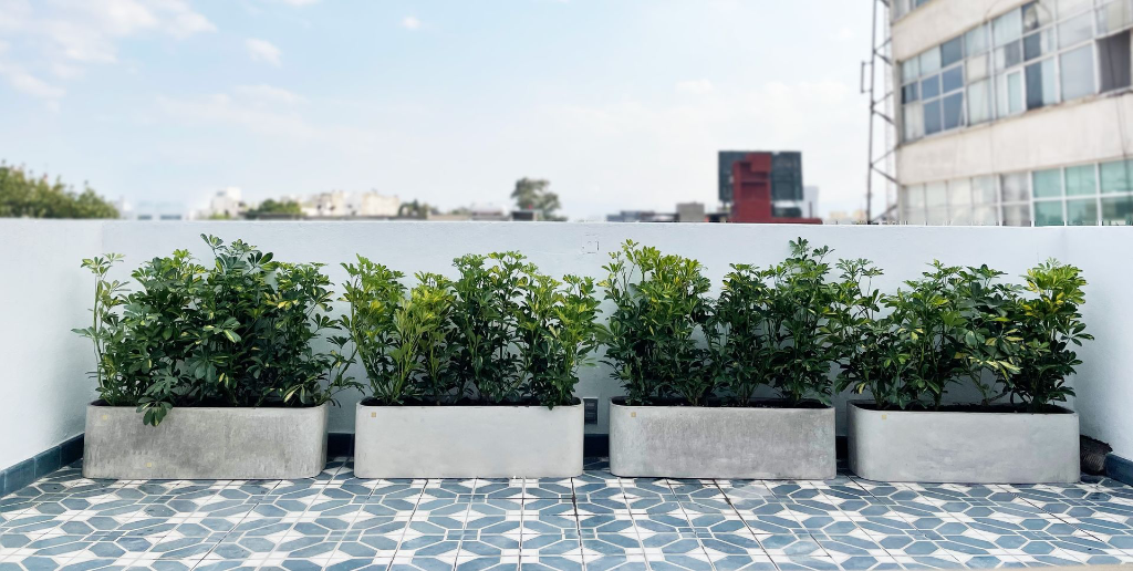 Jardineras de concreto Quina en una terraza