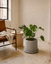 Cráter Chico ambientado en loft