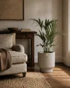 Tota natural ambientada en sala clásica