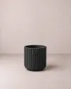 Luca