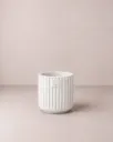 Luca