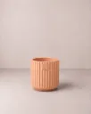 Luca
