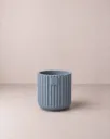 Luca