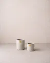 Set de Jicaritos