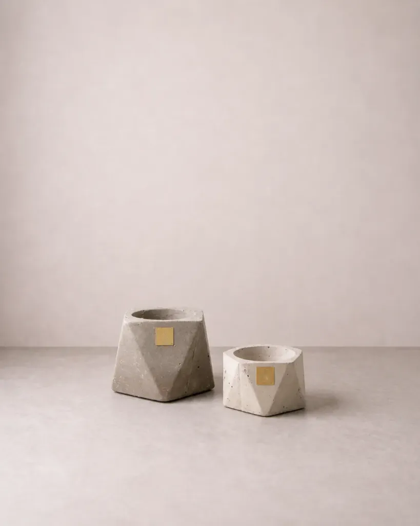 Set Sorpresa + Suerte (Sin Planta)
