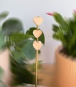 Fila de Corazones