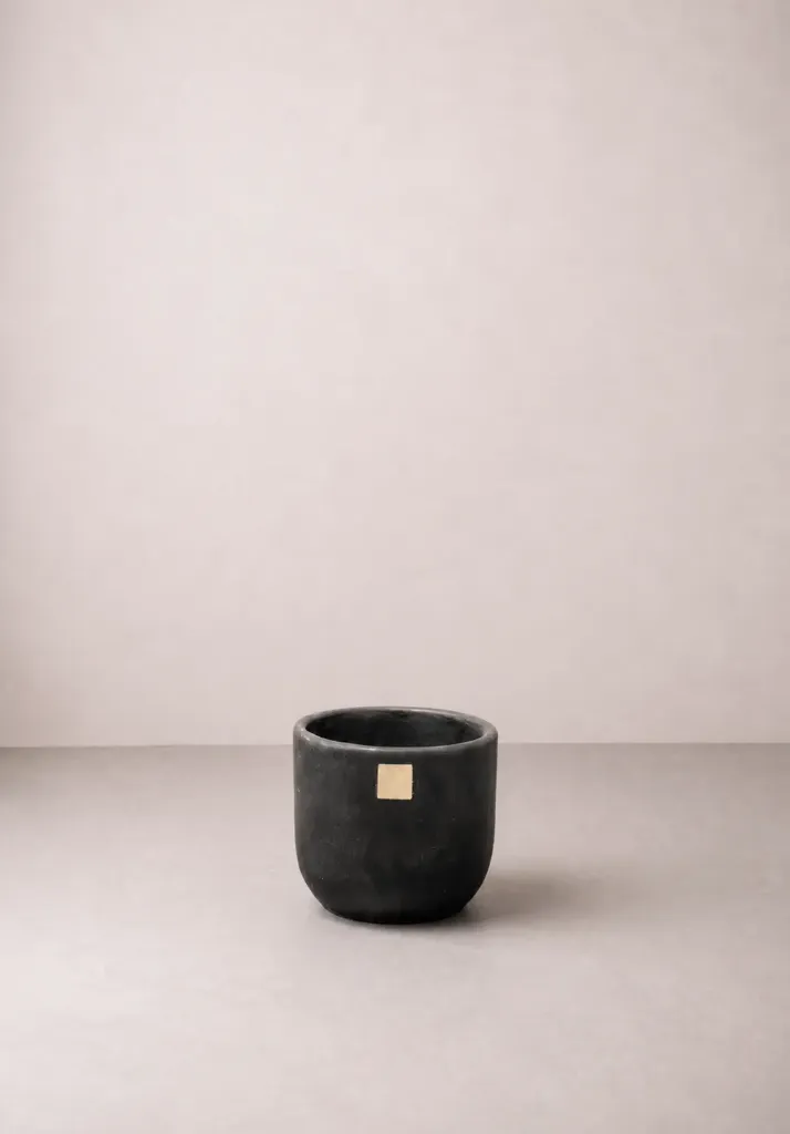 Cane Chica (Negro, Sin Planta)
