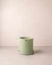 Ona