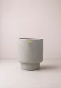 Tota