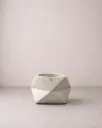 Ánimo